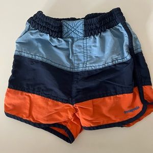 Patagonia 4T board shorts
